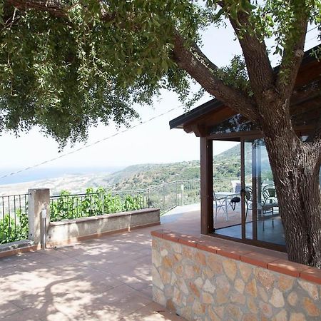 B&B Le Rose Del Tirreno Falerna Luaran gambar